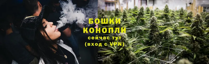 Бошки марихуана OG Kush  цены   Богданович 